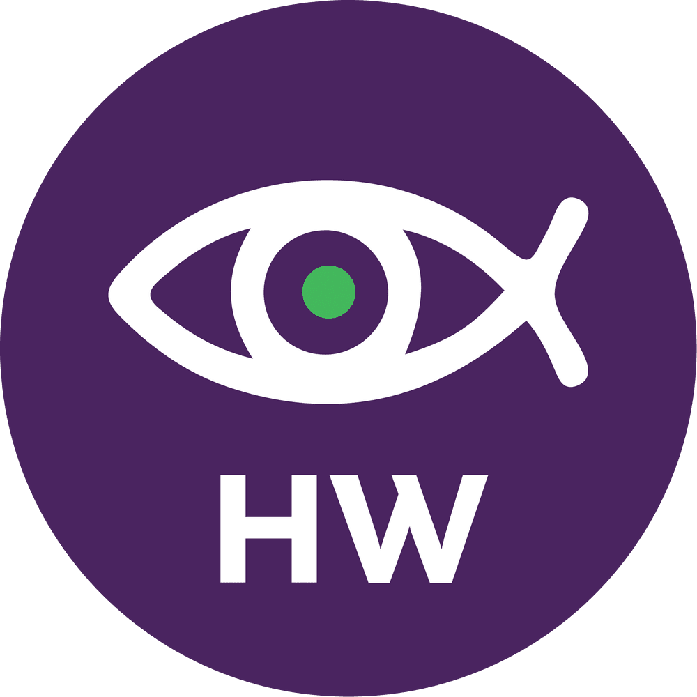 Модуль TRASSIR Dewarp HW для подключения 4 каналов с fisheye-камеры