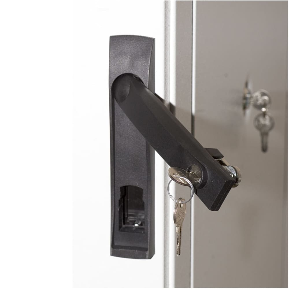 Серверный шкаф ЦМО ШТК-С-33.6.12-44АА