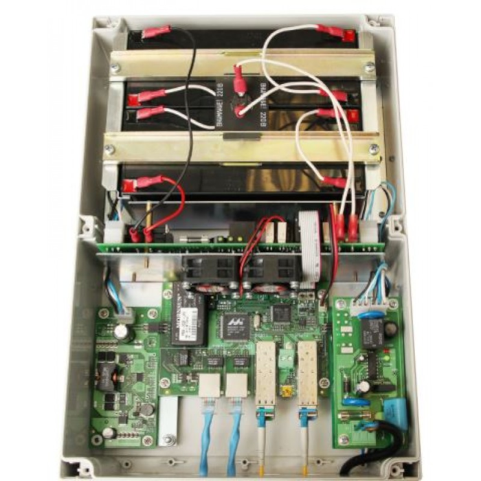 TFortis PSW-2G2F+UPS Swarm switch