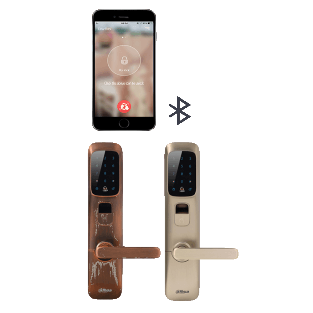 Էլեկտրոնային փական Dahua DHI-ASL8112K-B