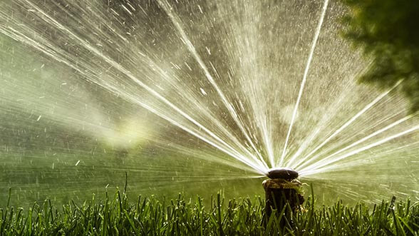 Автоматический полив участка